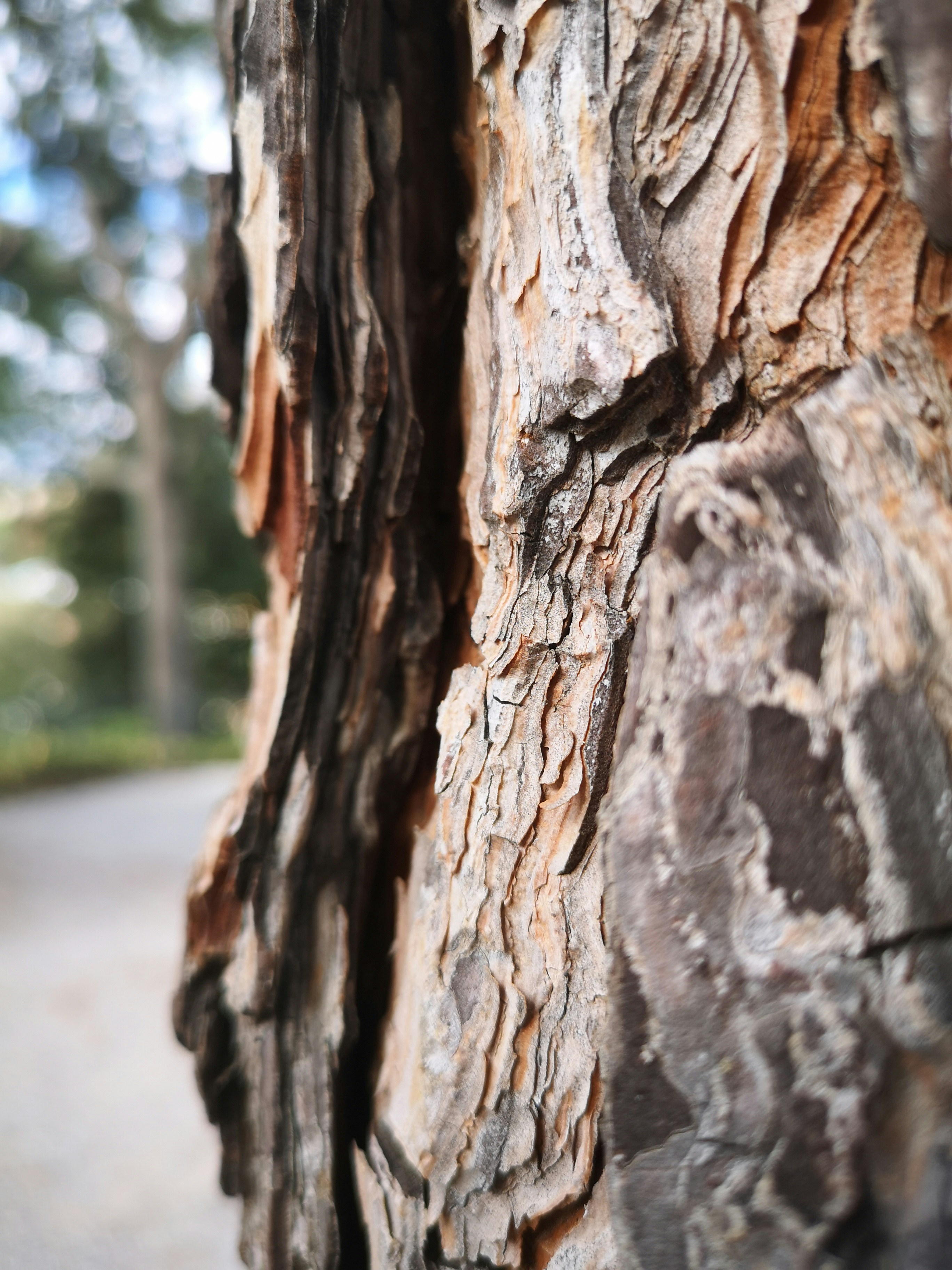 Photo by dilettadavolio