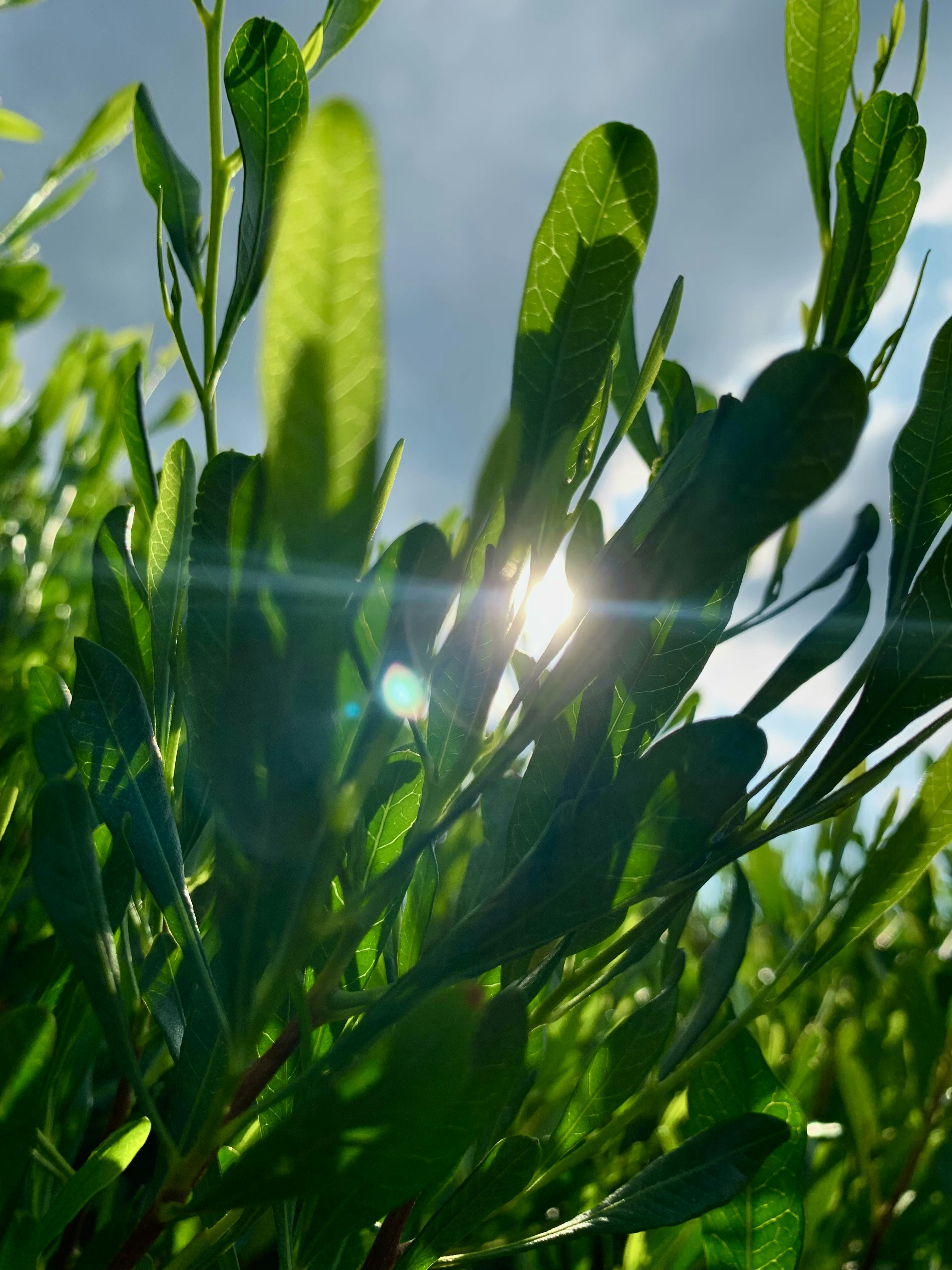 Photo by david_dintsh