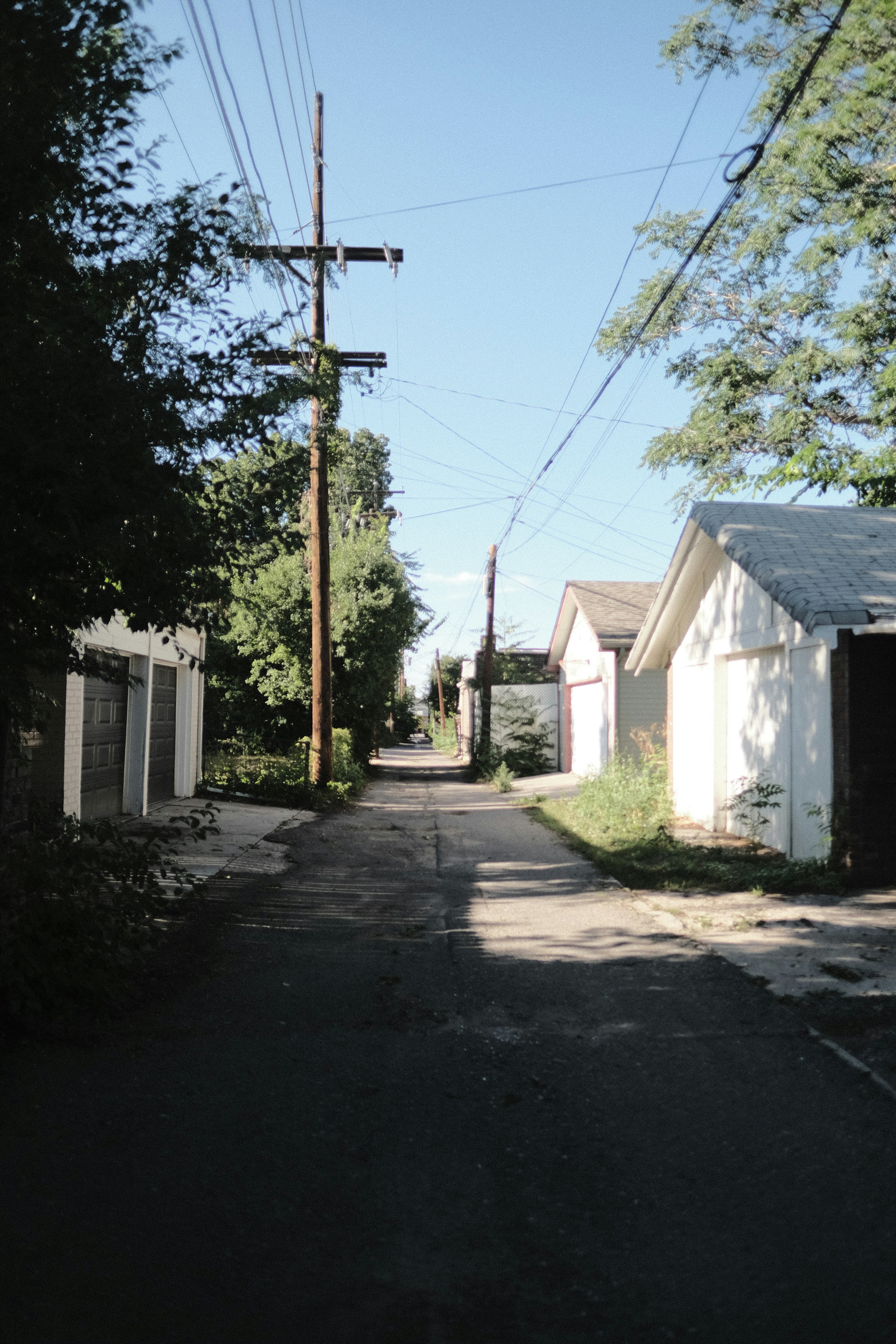 Photo by dillydallying