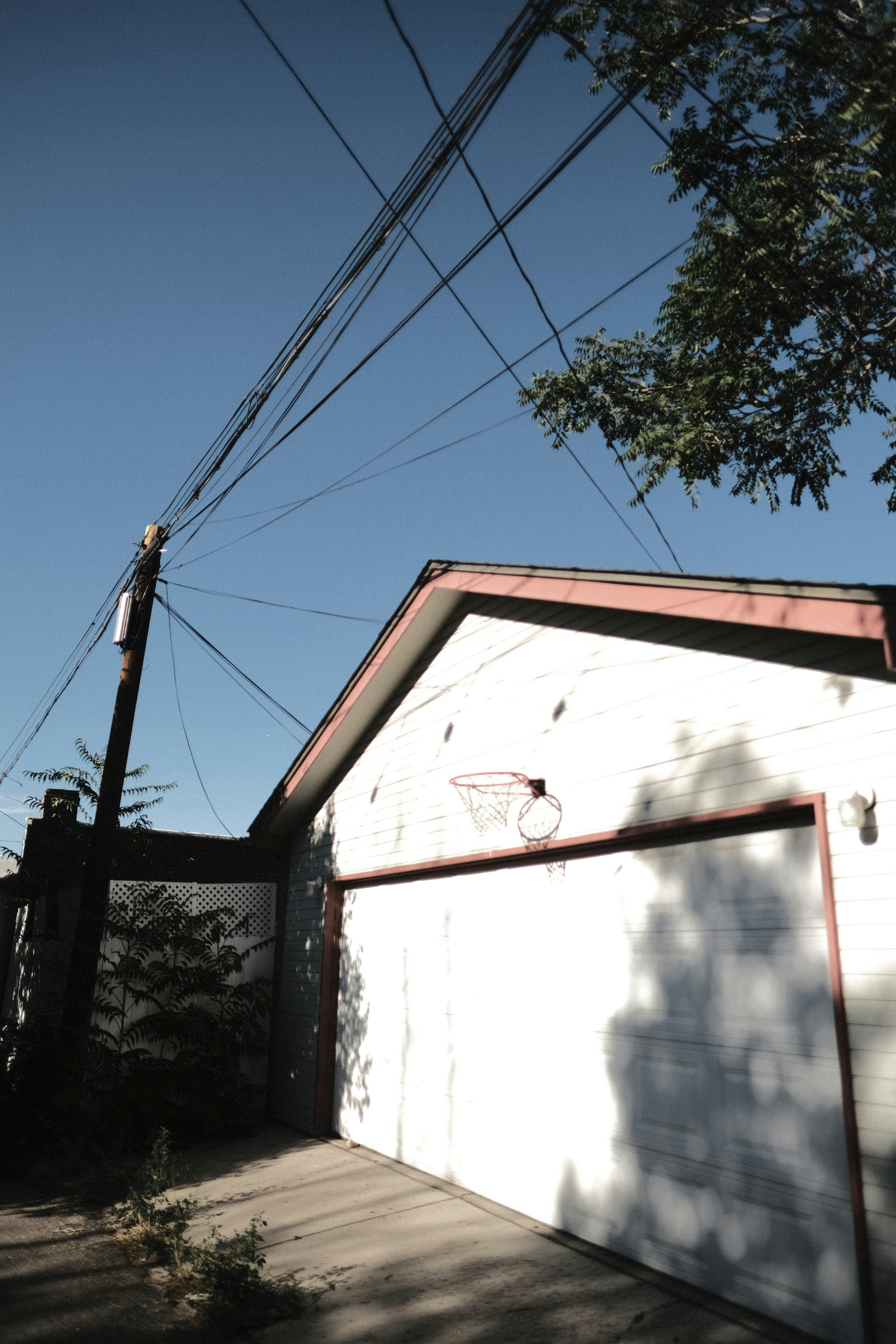 Photo by dillydallying