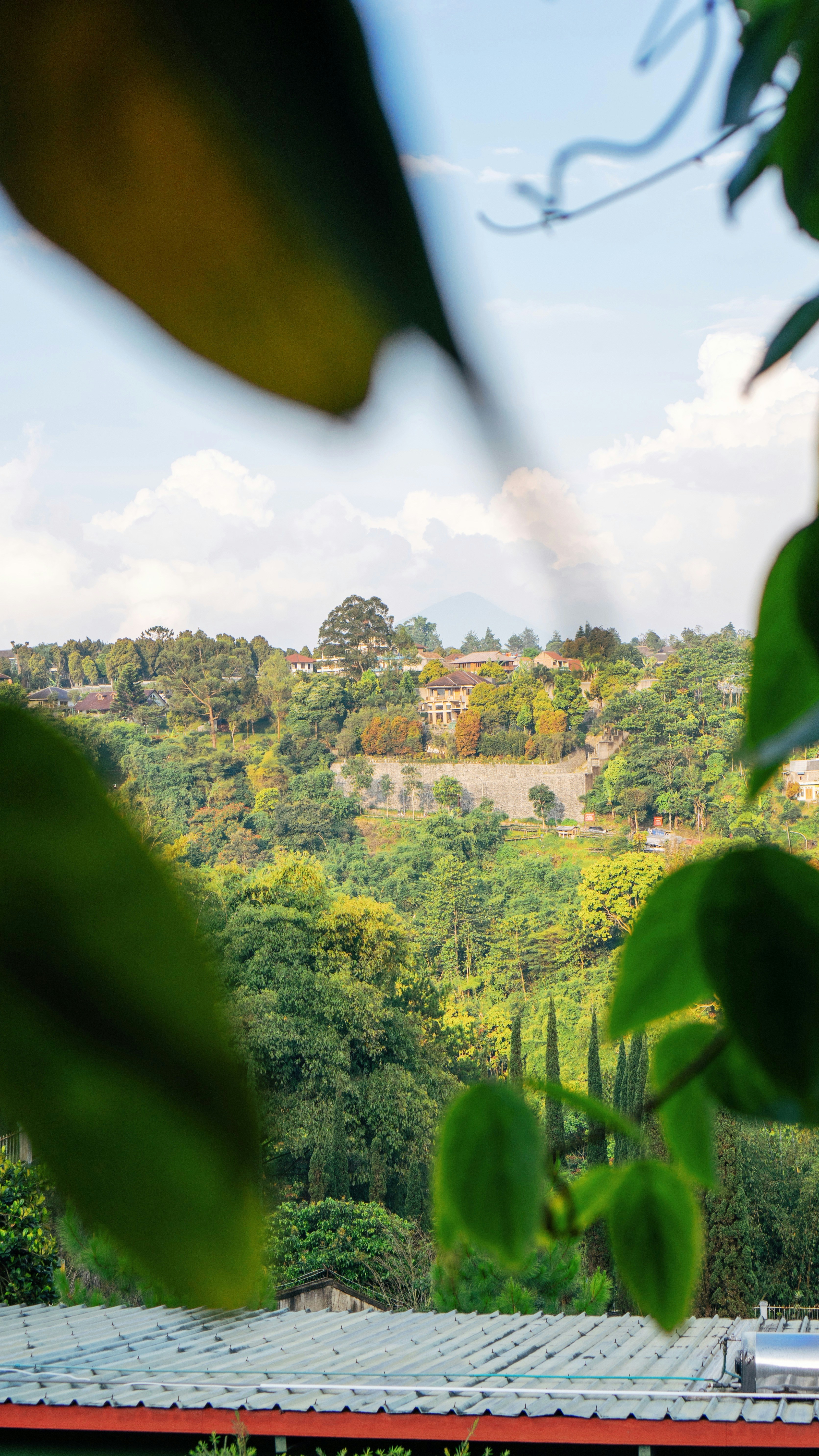 Photo by nazmijavier