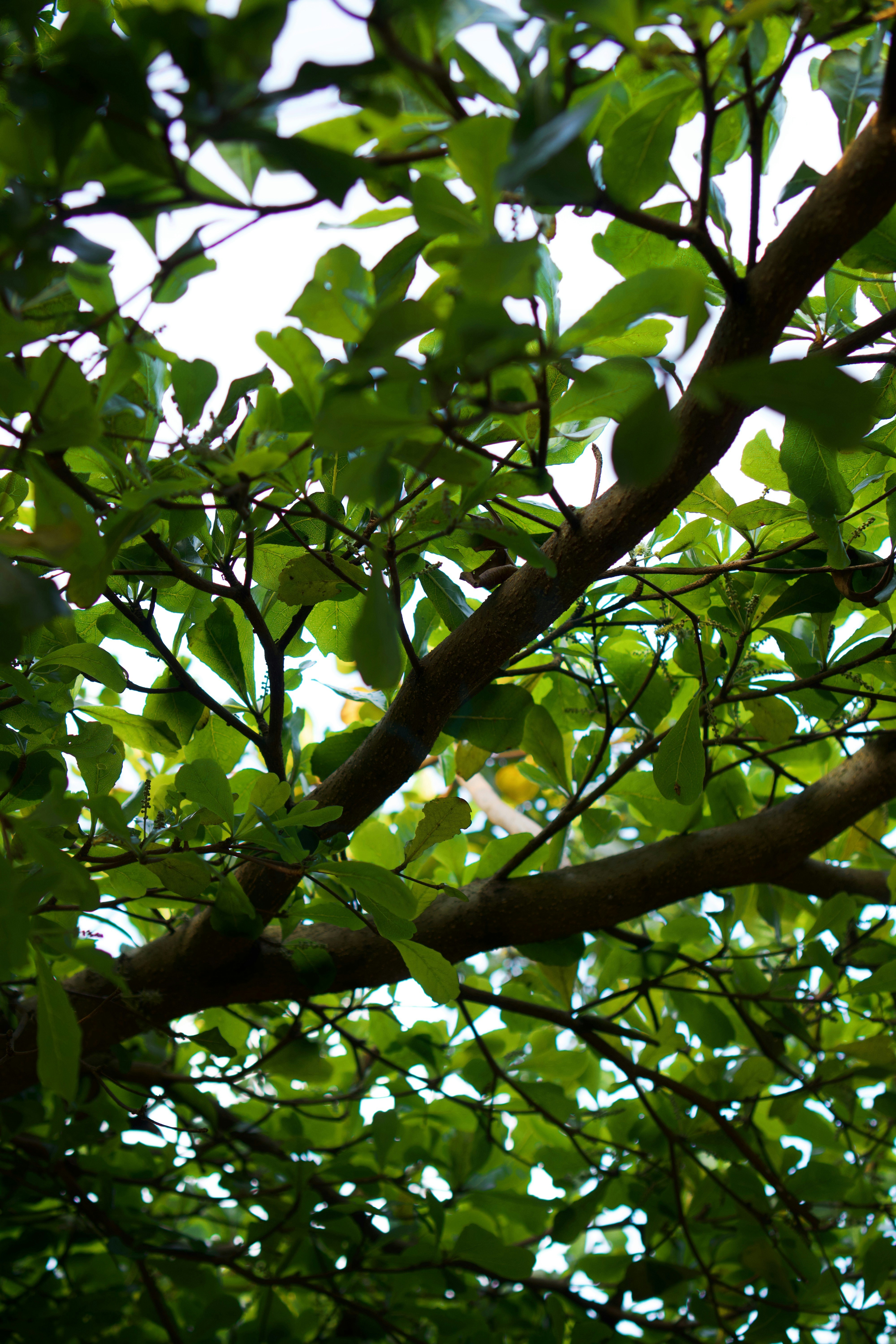 Photo by nazmijavier