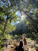 A group of people are hiking along a rocky path in a lush forest with abundant greenery. Sunlight filters through the dense canopy, creating dappled patterns on the ground. The scene exudes a sense of adventure and exploration as the individuals traverse the natural landscape.