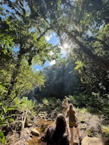 A group of people are hiking along a rocky path in a lush forest with abundant greenery. Sunlight filters through the dense canopy, creating dappled patterns on the ground. The scene exudes a sense of adventure and exploration as the individuals traverse the natural landscape.