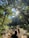 A group of people are hiking along a rocky path in a lush forest with abundant greenery. Sunlight filters through the dense canopy, creating dappled patterns on the ground. The scene exudes a sense of adventure and exploration as the individuals traverse the natural landscape.