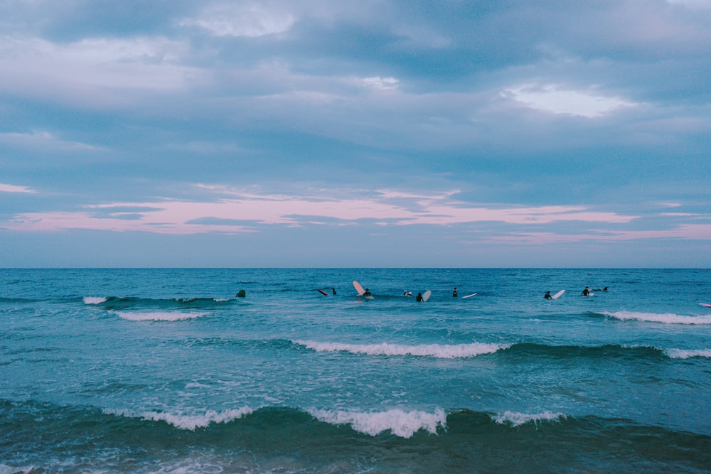 a group of people surfing in the sea