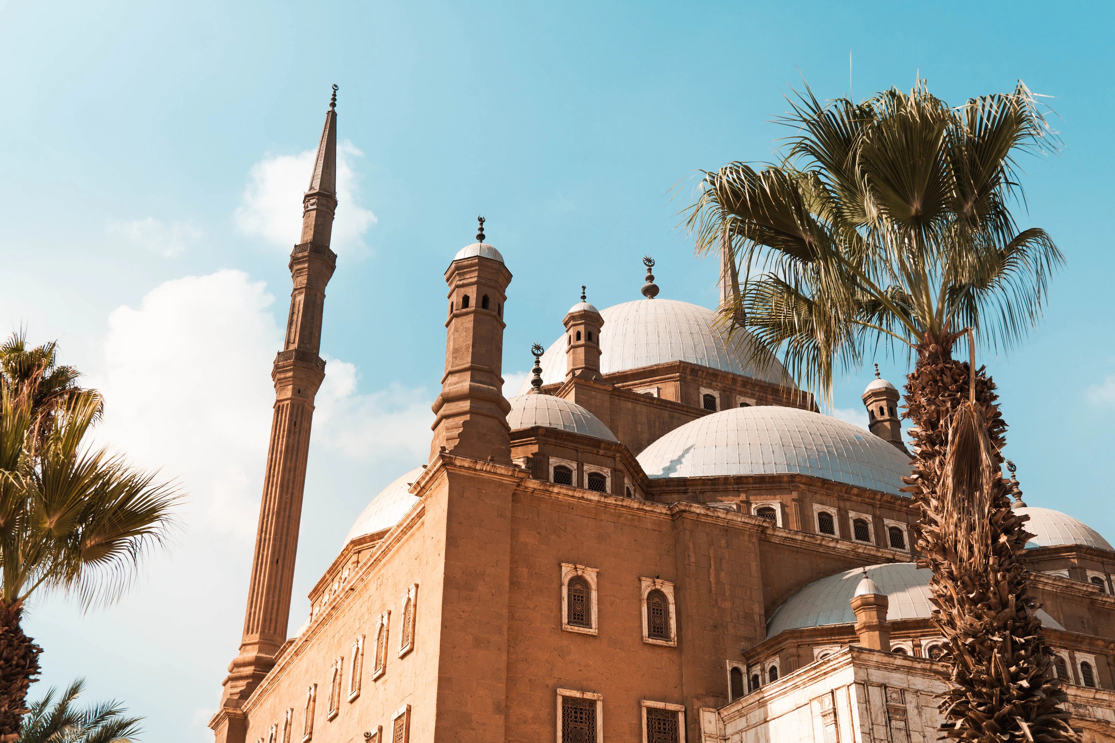 The Mosque of Muhammad Ali at Cairo's Citadel seen from below on a clear day, its cluster of silver domes and needle-thin minaret rising above pale stone walls with palm fronds crossing the frame.