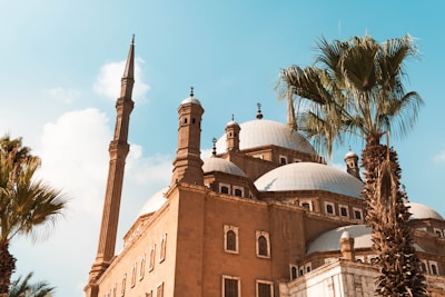 National Museum of Egyptian Civilization, Old Cairo & Citadel Tour
