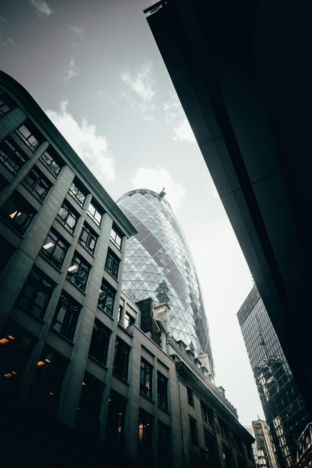 a view of a city from the ground