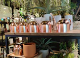 A colorful array of watering cans lined up on a rustic shelf in a cozy greenhouse.