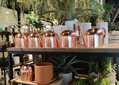 Various sizes of durable watering cans lined up in a sunlit greenhouse.