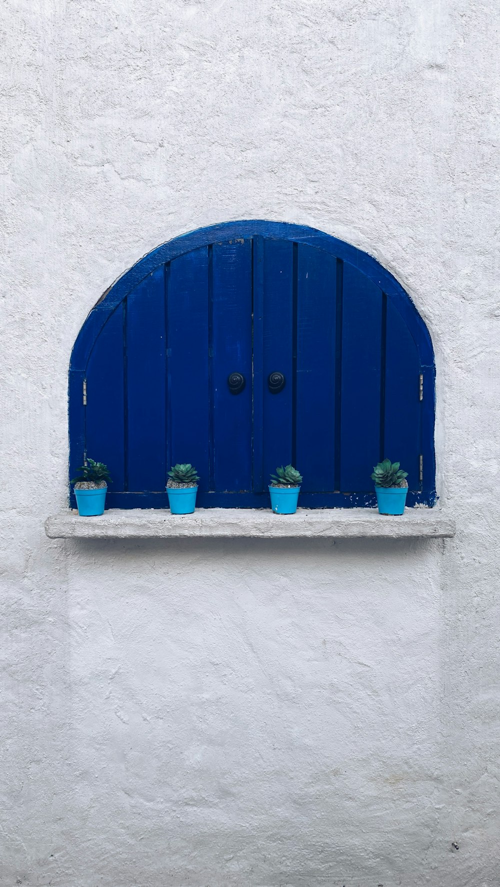 a blue door with potted plants