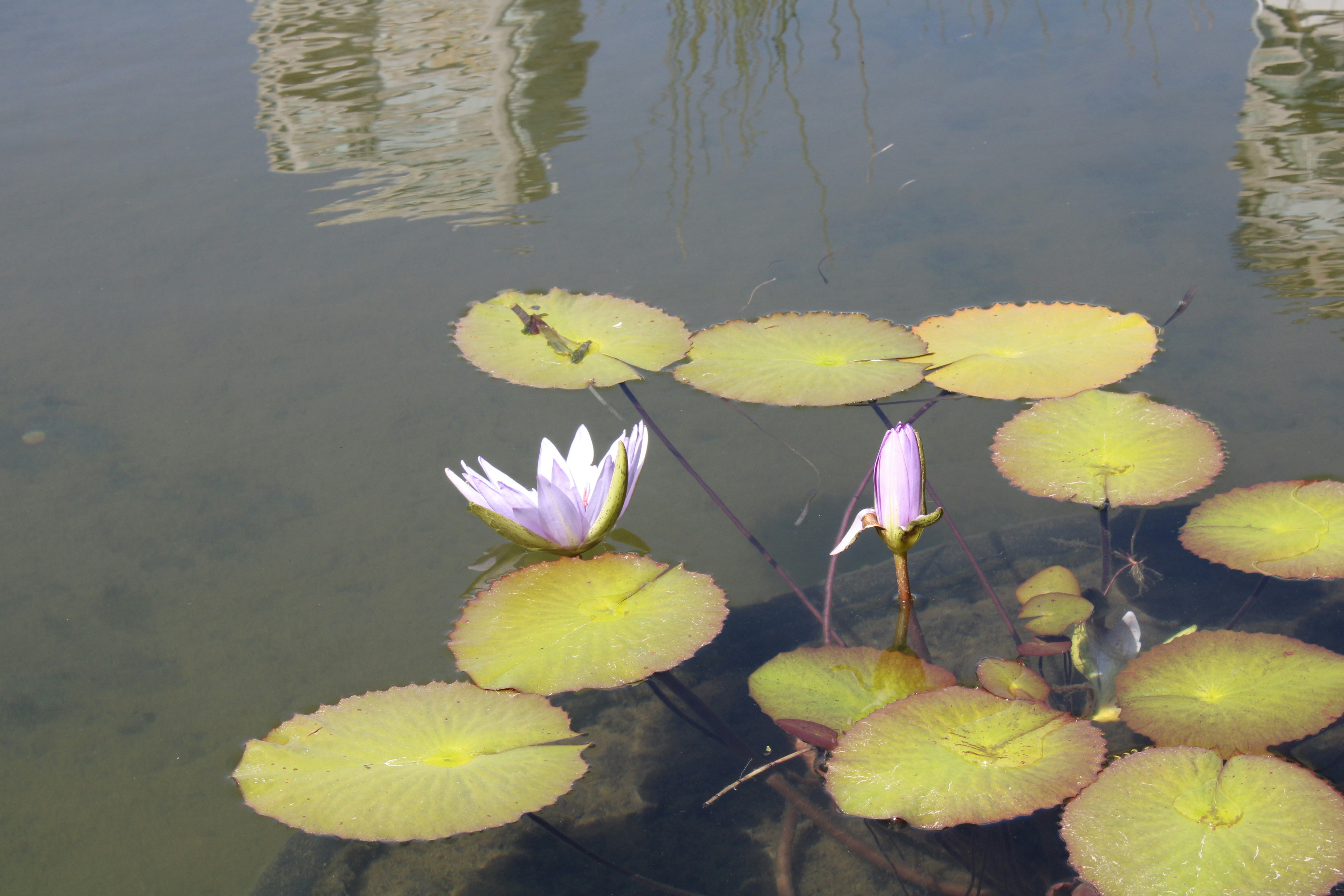 Photo by fxck_mariana04