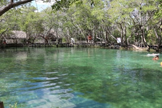 A tranquil natural pool surrounded by lush green trees, with clear, inviting water reflecting the foliage above. Several thatched-roof structures are partially visible through the dense trees. A few swimmers enjoy the water, adding a sense of leisure and relaxation. A red life preserver is mounted on a wooden fence lining the edge of the pool.