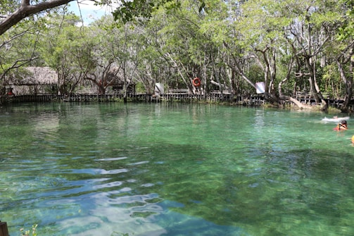 A tranquil natural pool surrounded by lush green trees, with clear, inviting water reflecting the foliage above. Several thatched-roof structures are partially visible through the dense trees. A few swimmers enjoy the water, adding a sense of leisure and relaxation. A red life preserver is mounted on a wooden fence lining the edge of the pool.