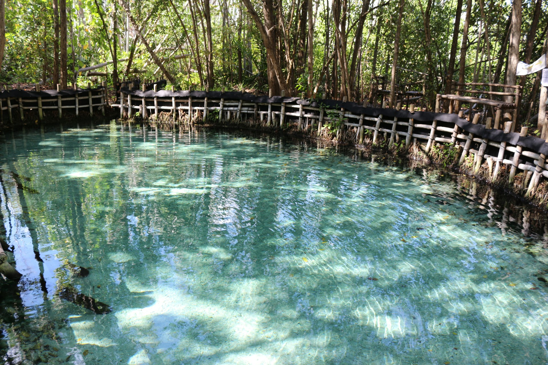 Natural Wonders - Dominica nature tour banner