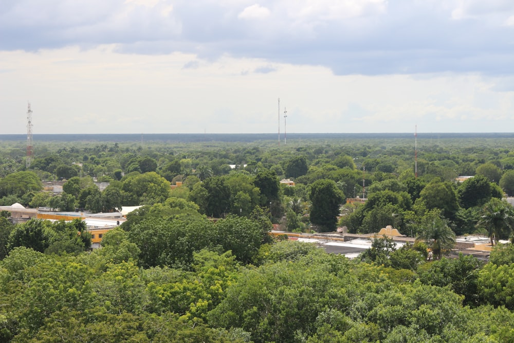 a landscape with trees and buildings