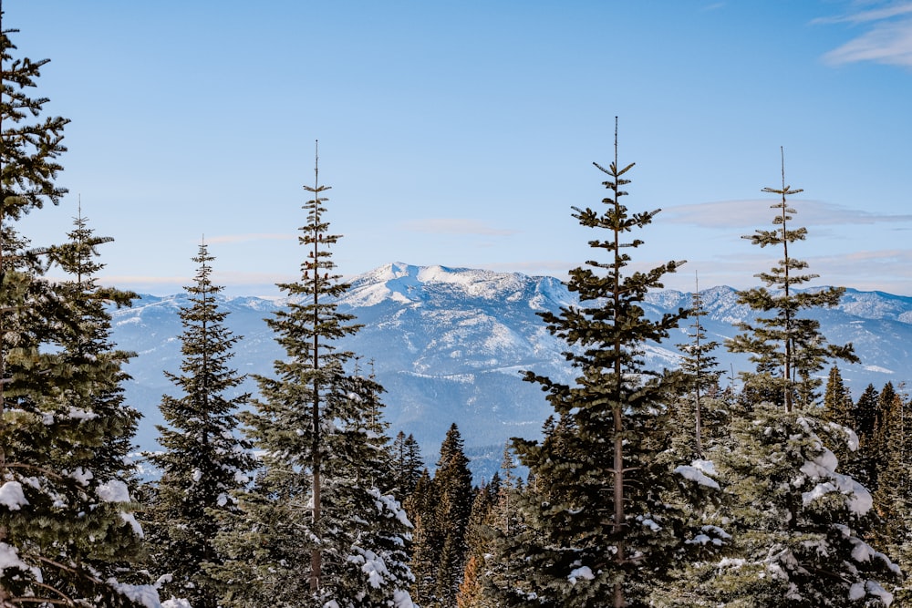 a snowy mountain range