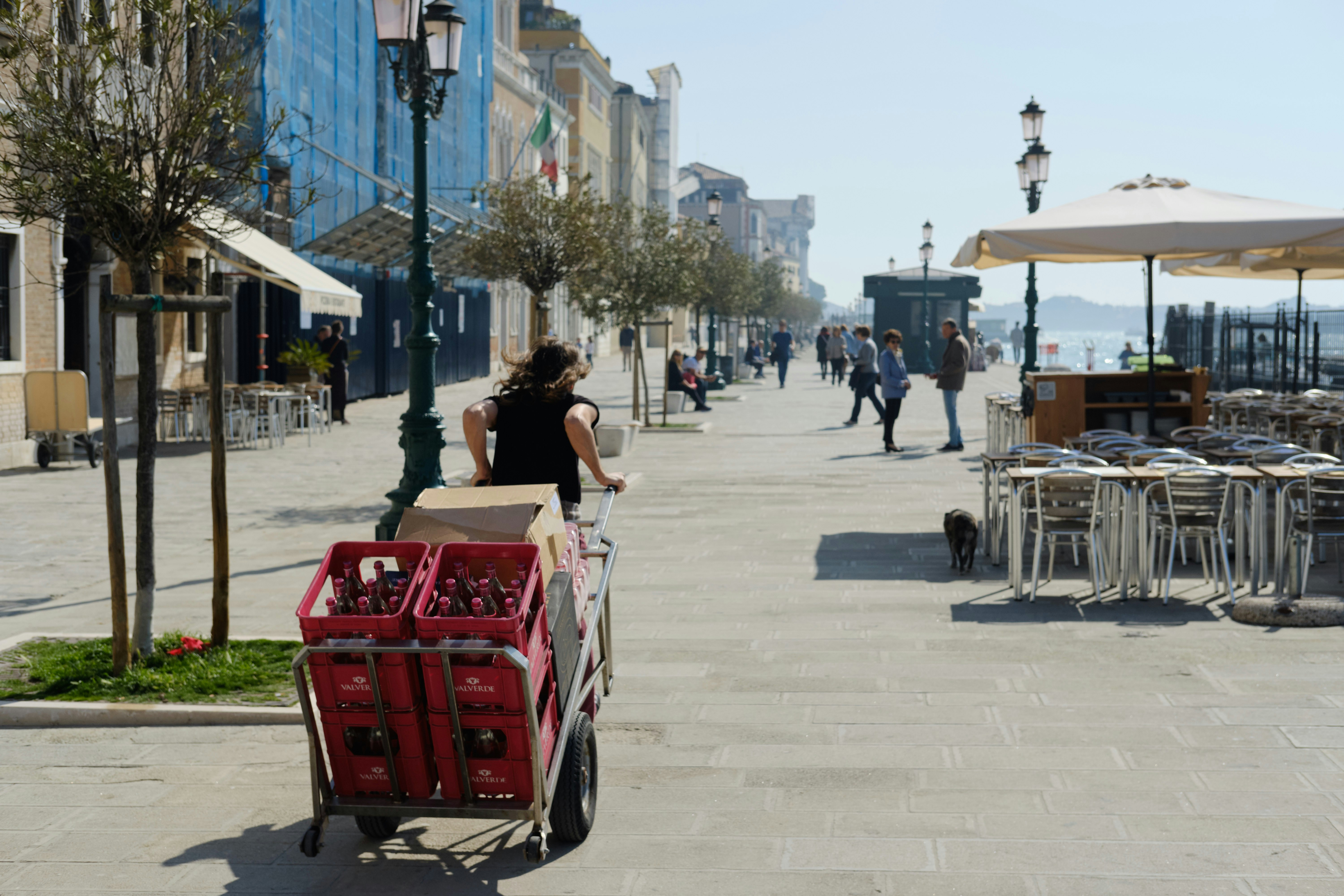 a person pushing a cart with a dog on a sidewalk