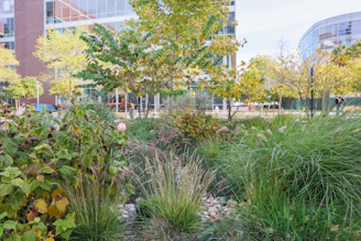 A beautifully designed garden with lush greenery and colorful flowers in an urban Istanbul setting.
