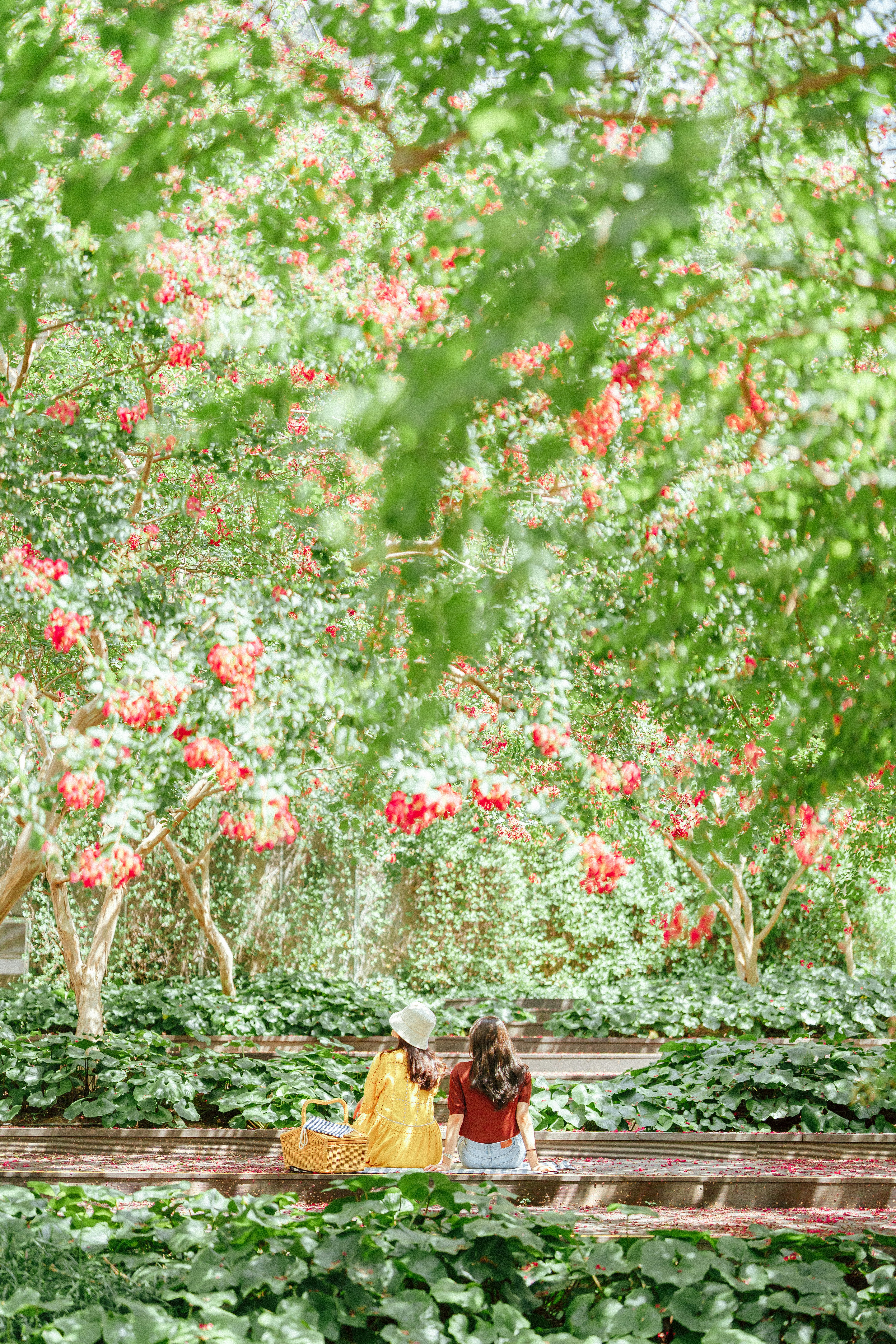 Photo by asiaculturecenter