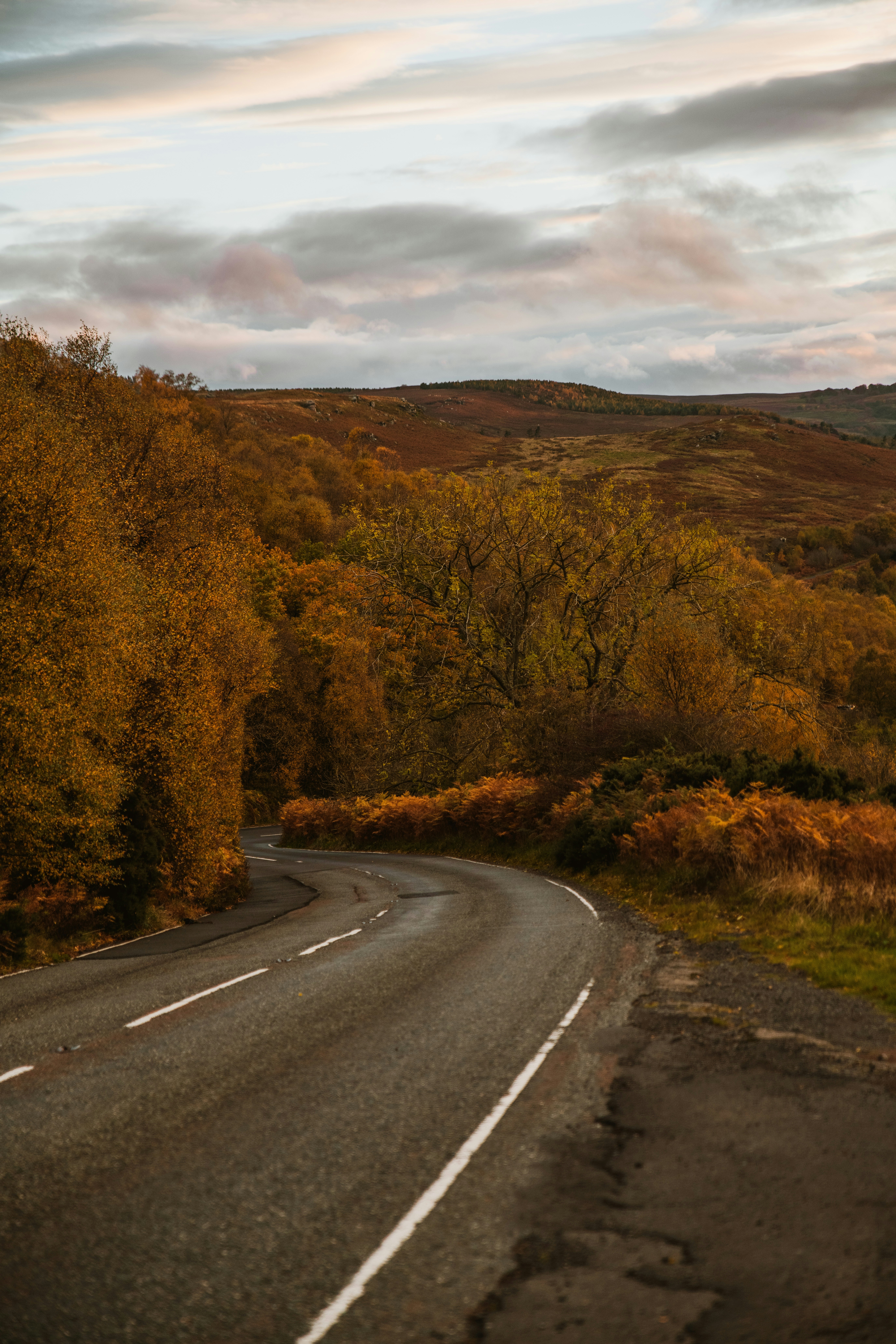 Photo by anitaaustvika