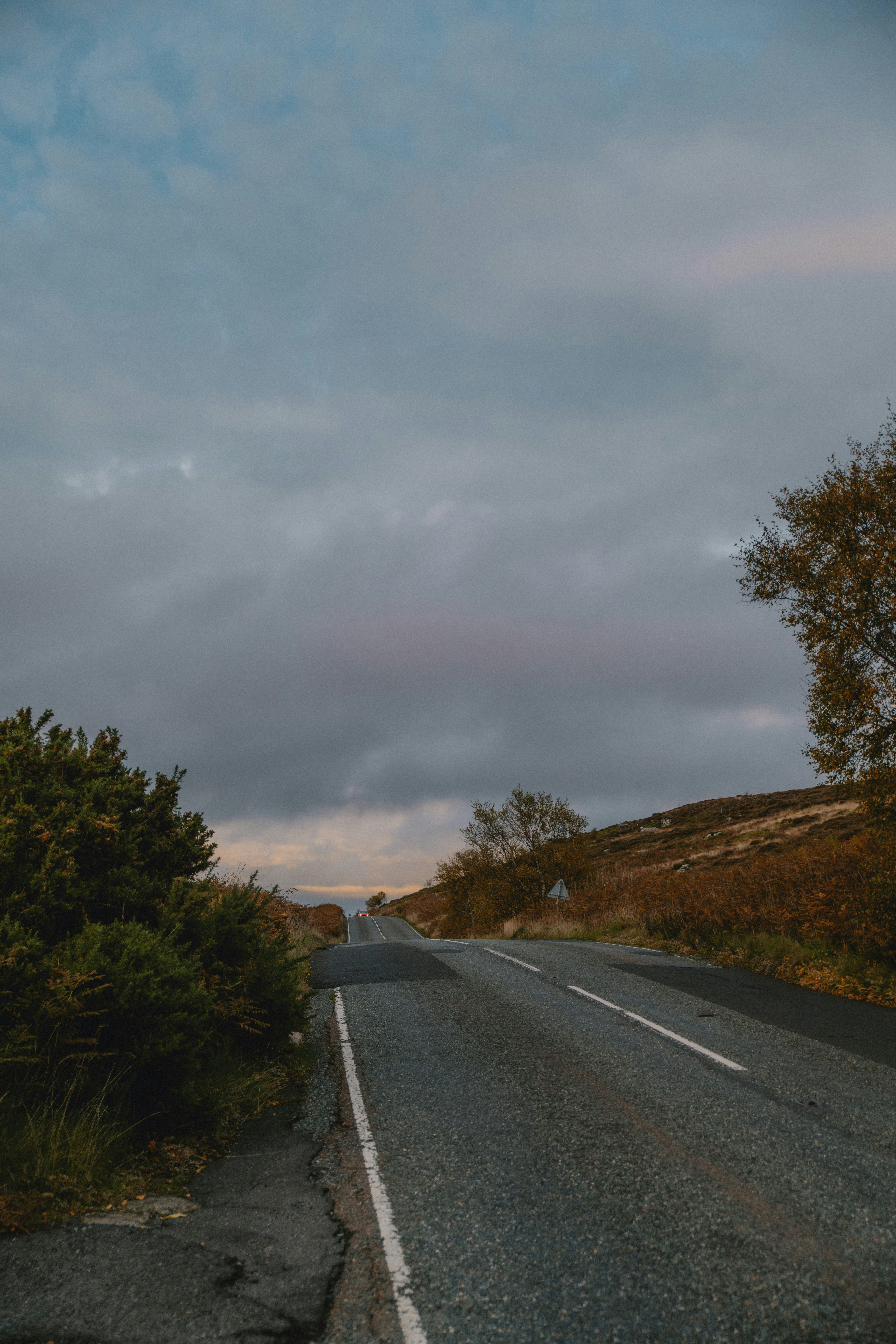 Photo by anitaaustvika