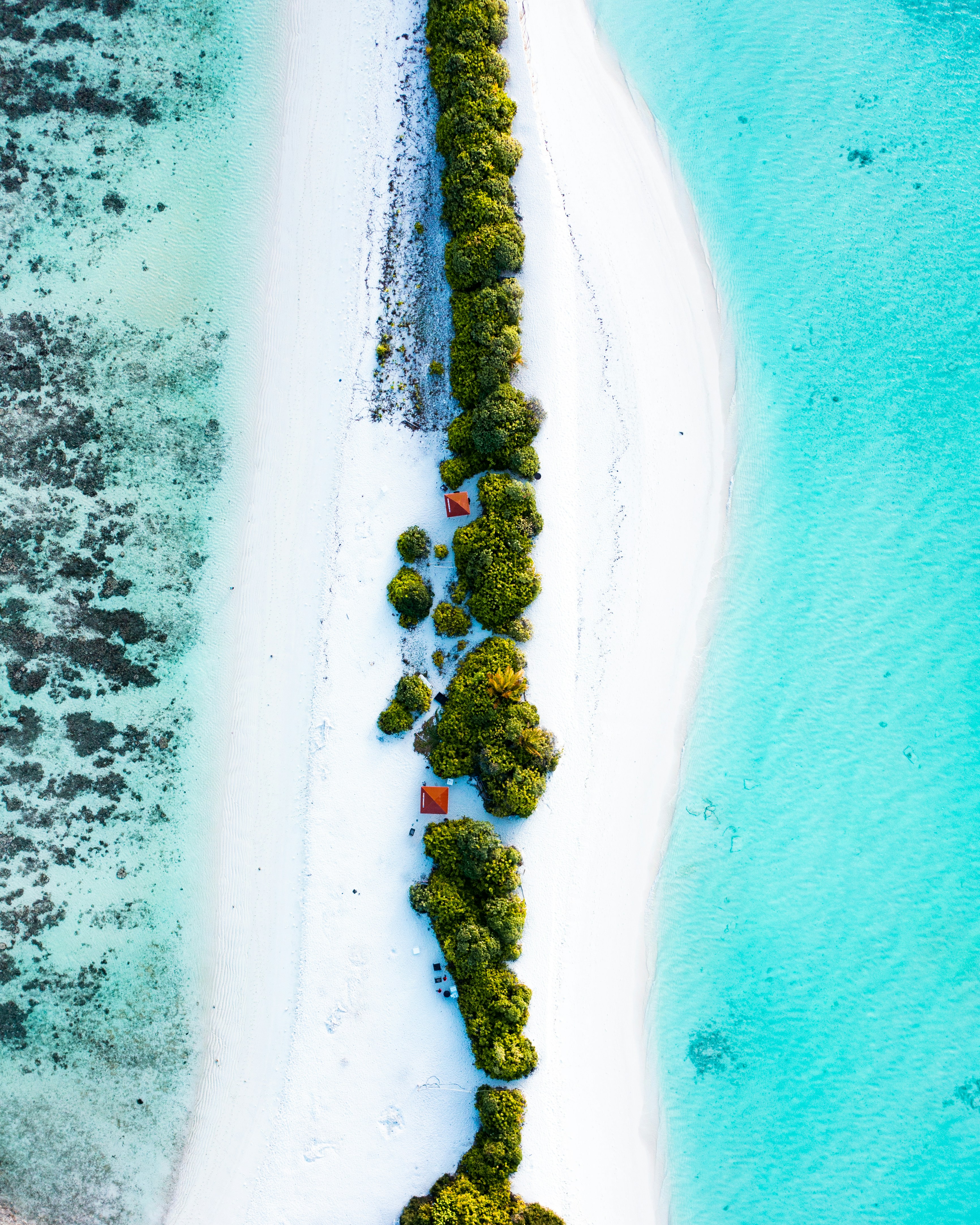 Photo by fromtinyisles