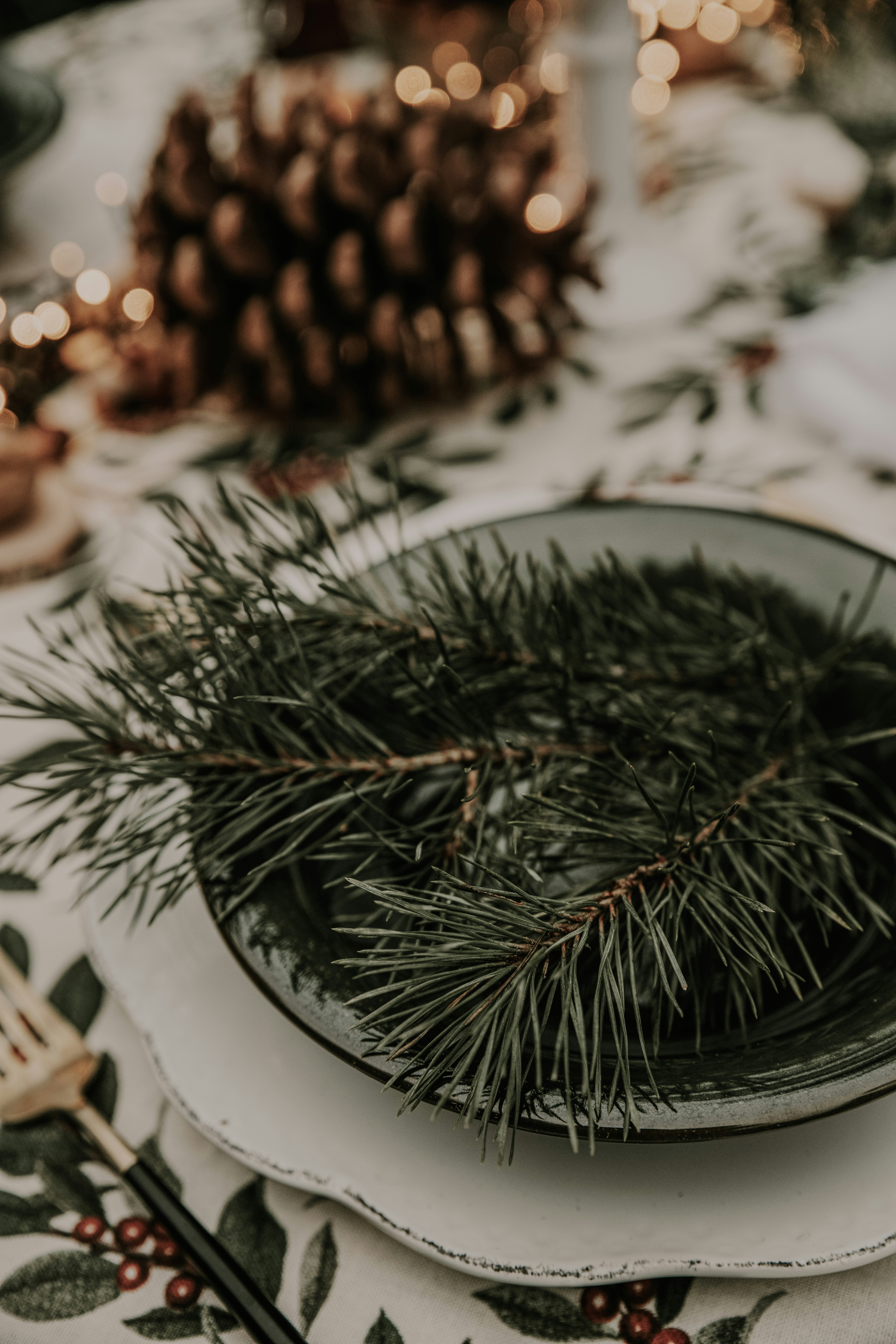 Photo by anitaaustvika