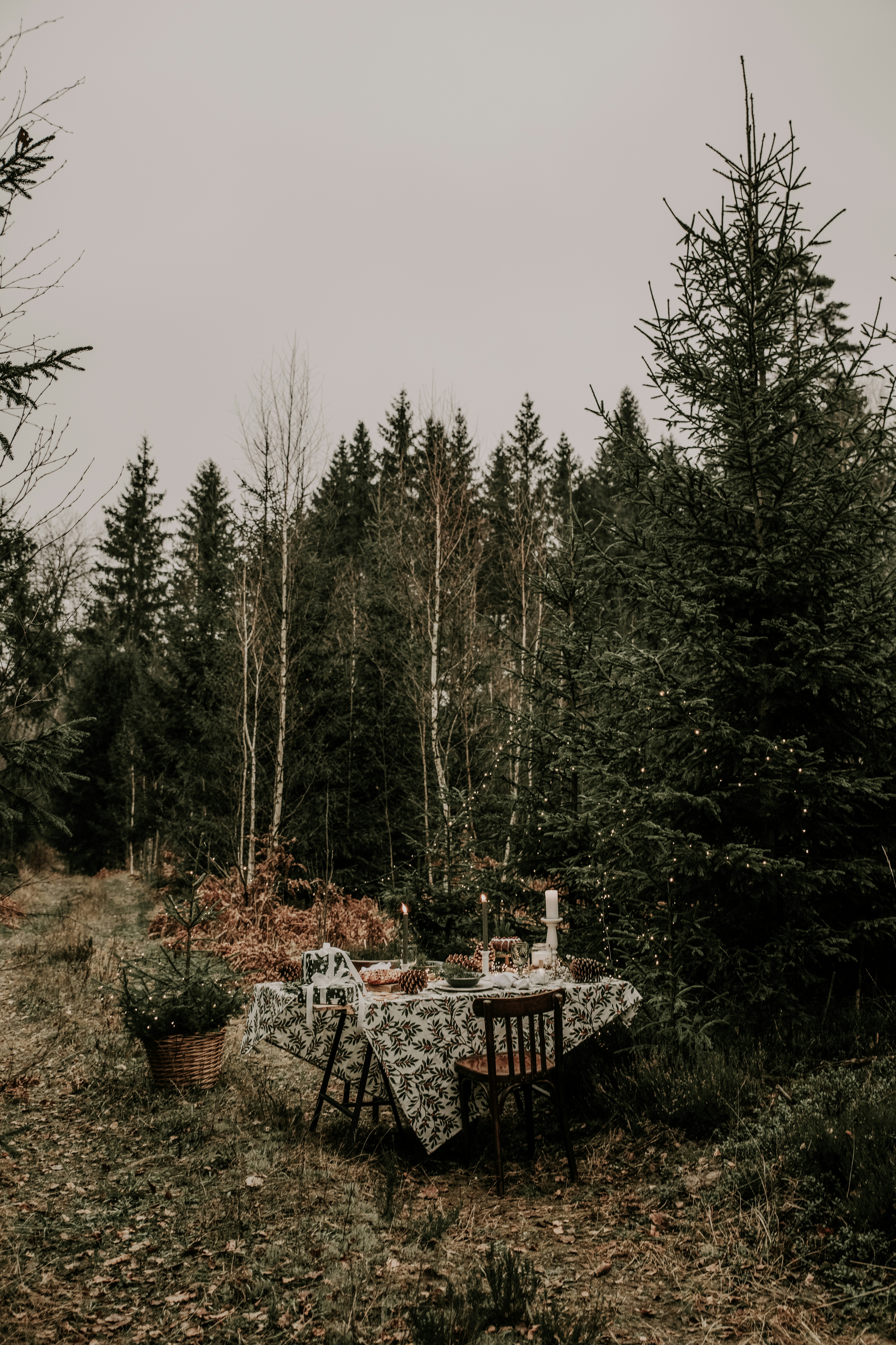 Photo by anitaaustvika