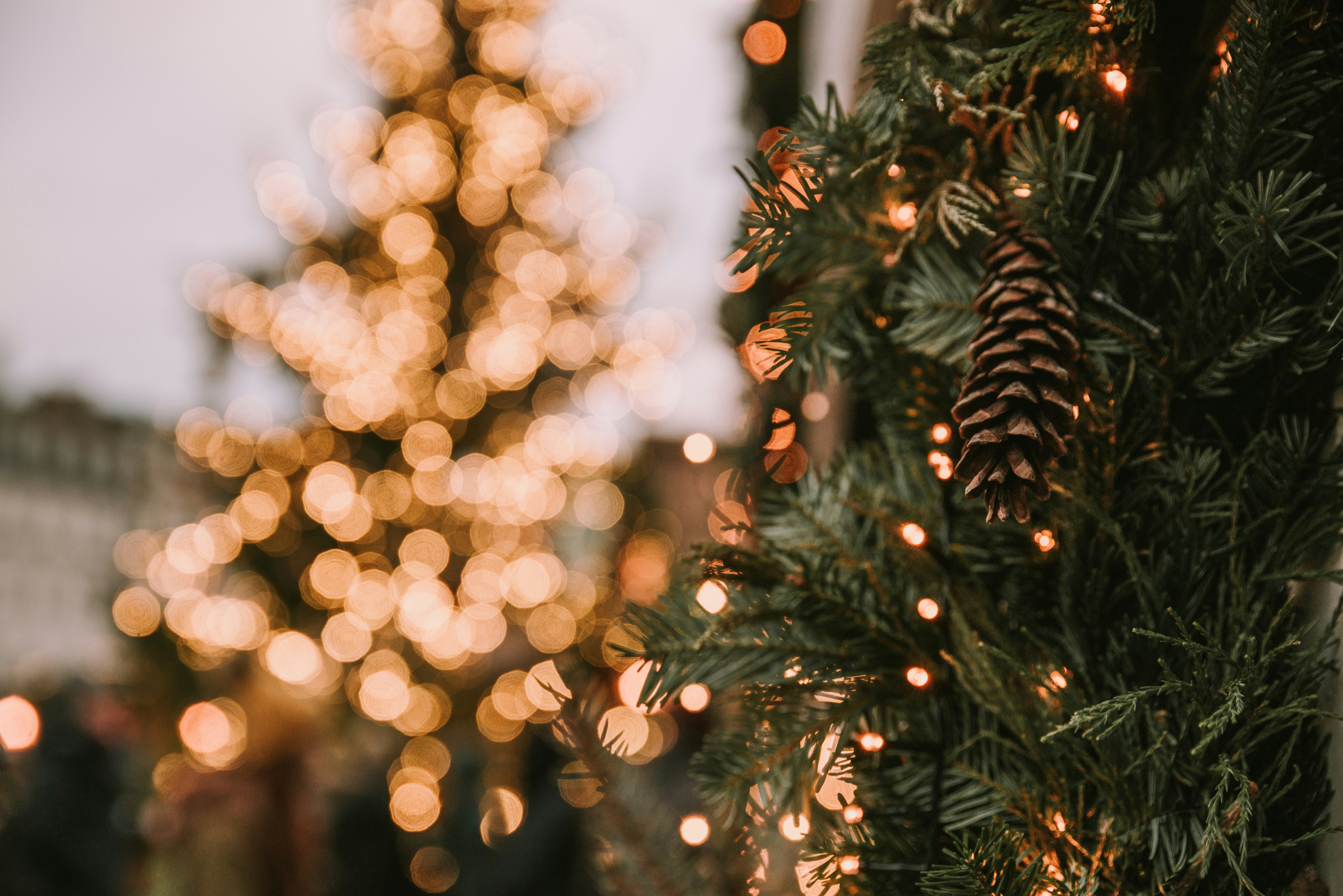 Photo by anitaaustvika