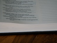 View of Cafetran's translation memory panel displaying saved sentences ready for reuse.