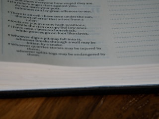 An example of a well-organized list design.