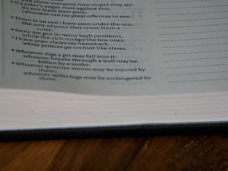 View of Cafetran's translation memory panel displaying saved sentences ready for reuse.