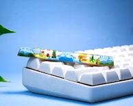 A custom mechanical keyboard keycap featuring a miniature scene with colorful characters, cacti, and a small landscape, set against a background of white computer keys and a blue backdrop. A green plant leaf is visible in the corner.