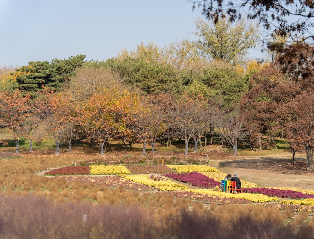 a group of people walking in a park with trees and flowers