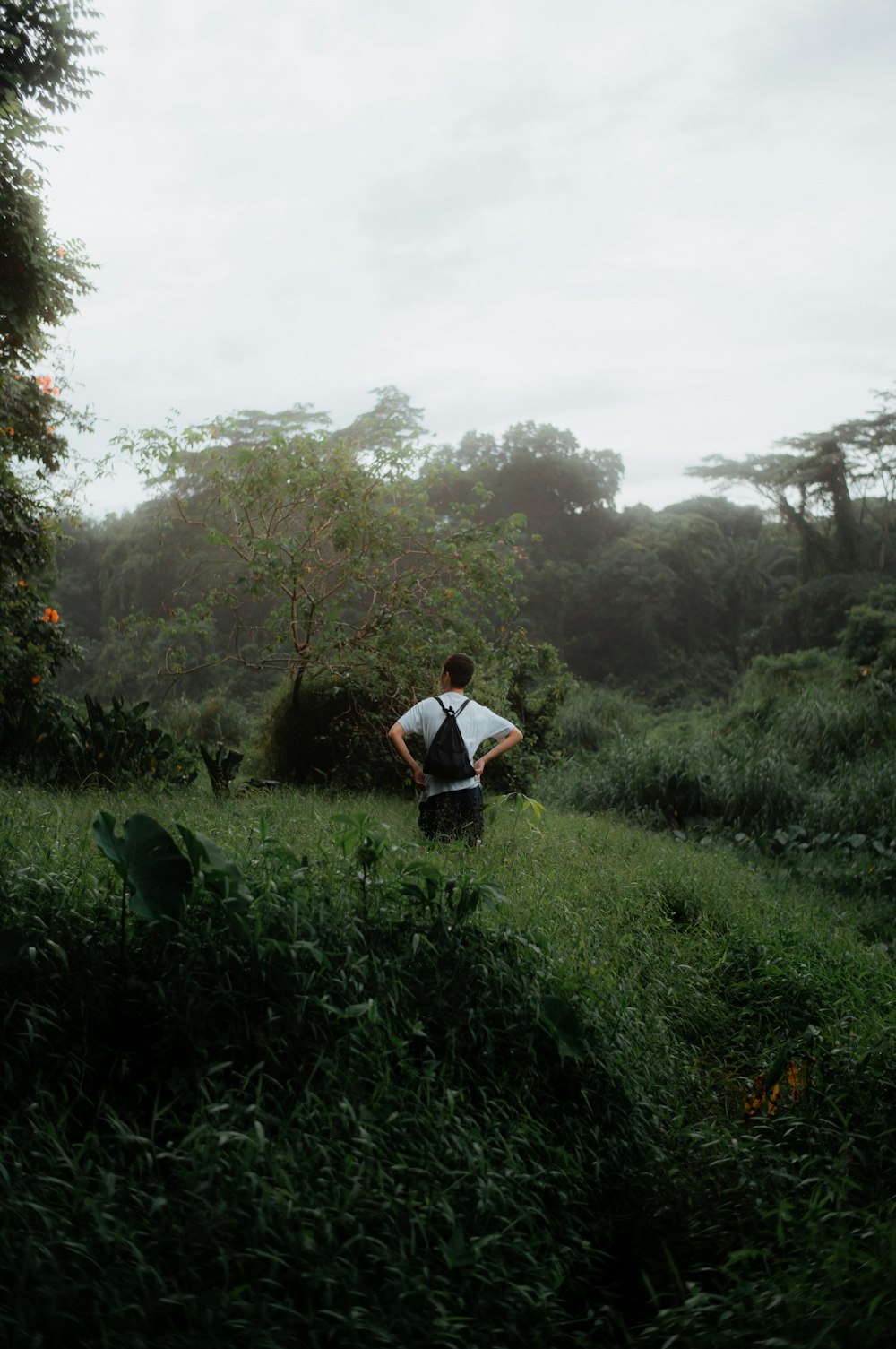 a person walking through a grassy area