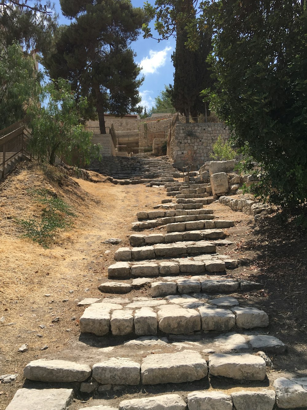 a stone path with trees on either side of it