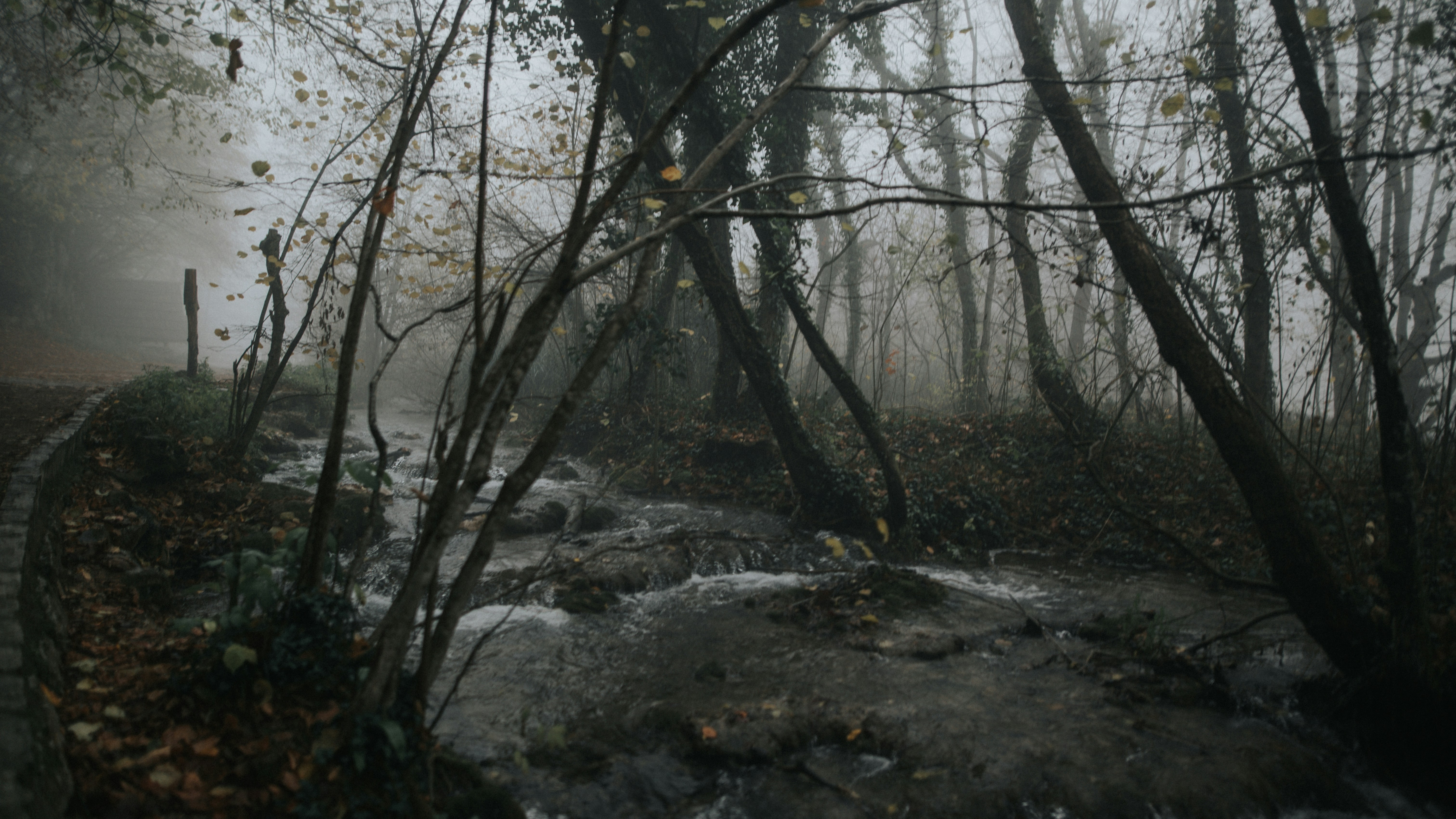 Photo by bukze