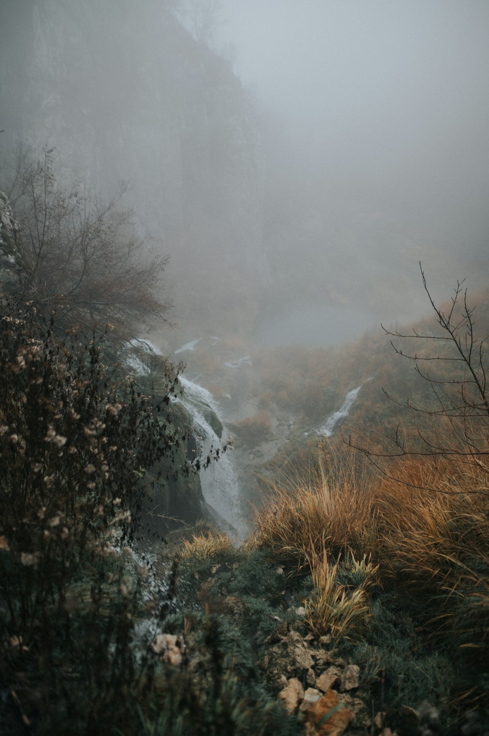 a waterfall in a forest