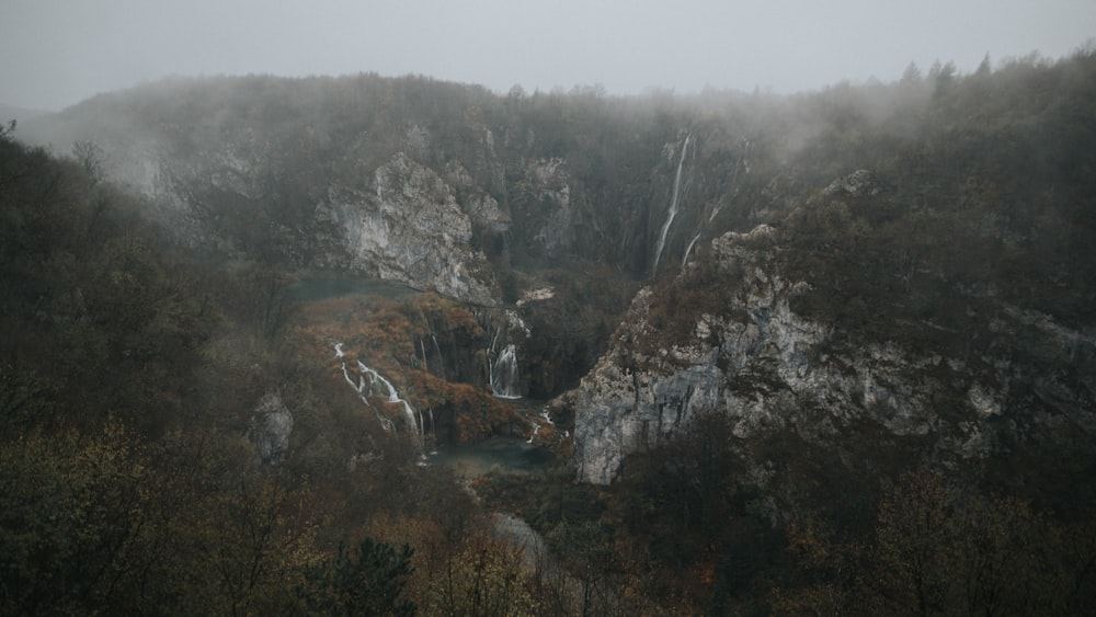 a waterfall in a forest