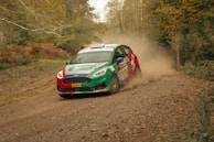 A rally car speeds along a dirt track surrounded by dense forest. The car is kicking up a cloud of dust and features vibrant colors with sponsor logos. The setting suggests an off-road race in an autumnal environment.