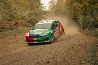 A rally car speeds along a dirt track surrounded by dense forest. The car is kicking up a cloud of dust and features vibrant colors with sponsor logos. The setting suggests an off-road race in an autumnal environment.