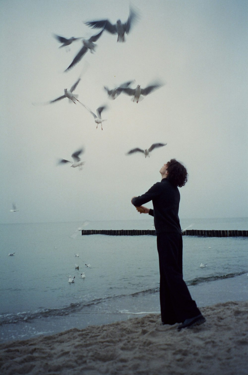 a person standing on a beach looking at birds flying in the sky