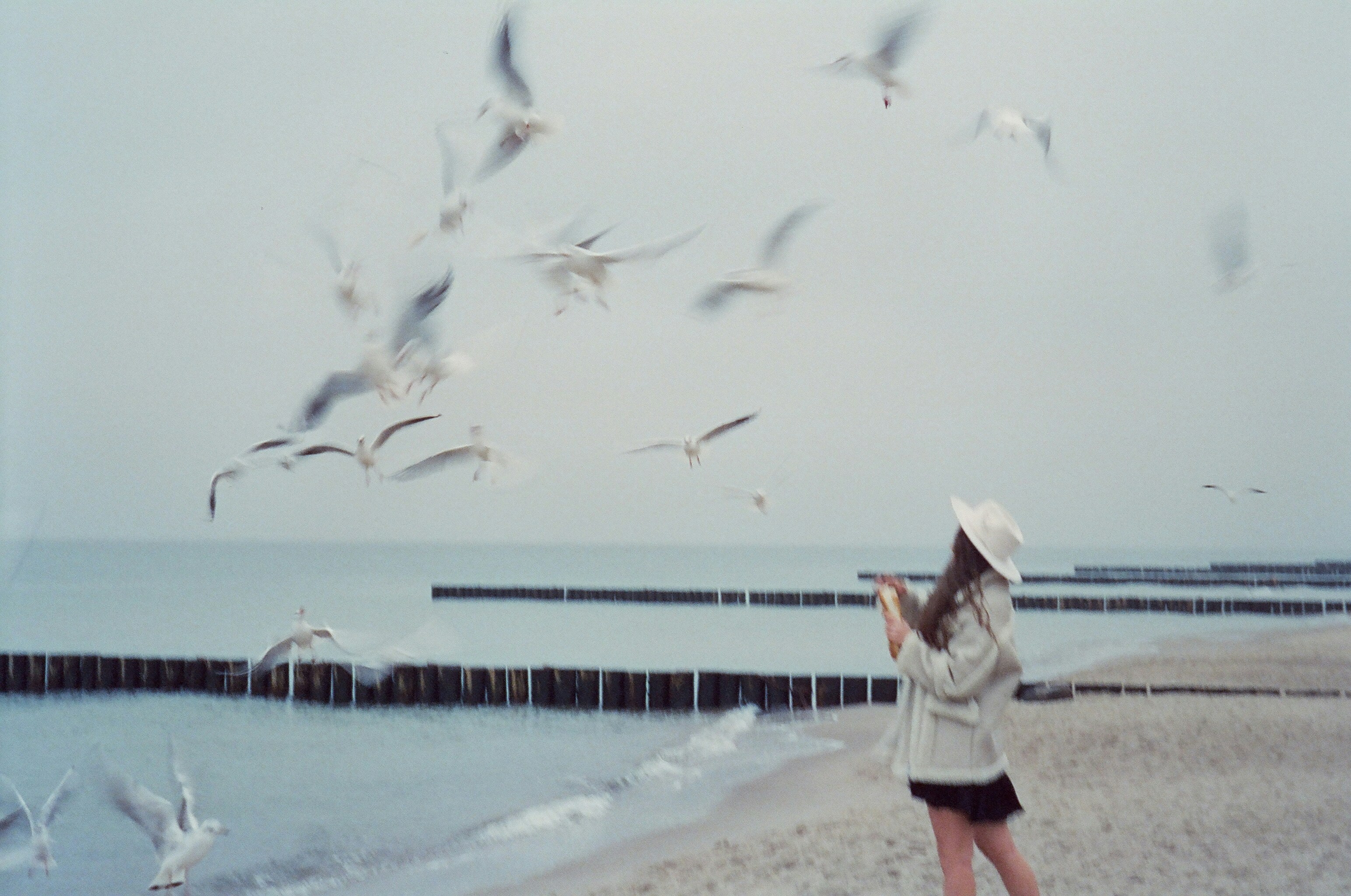 a person standing on a beach with birds flying in the sky