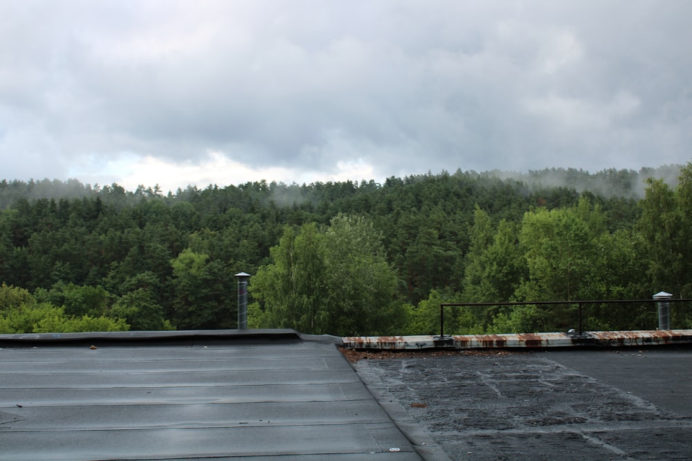 a dock with trees in the background