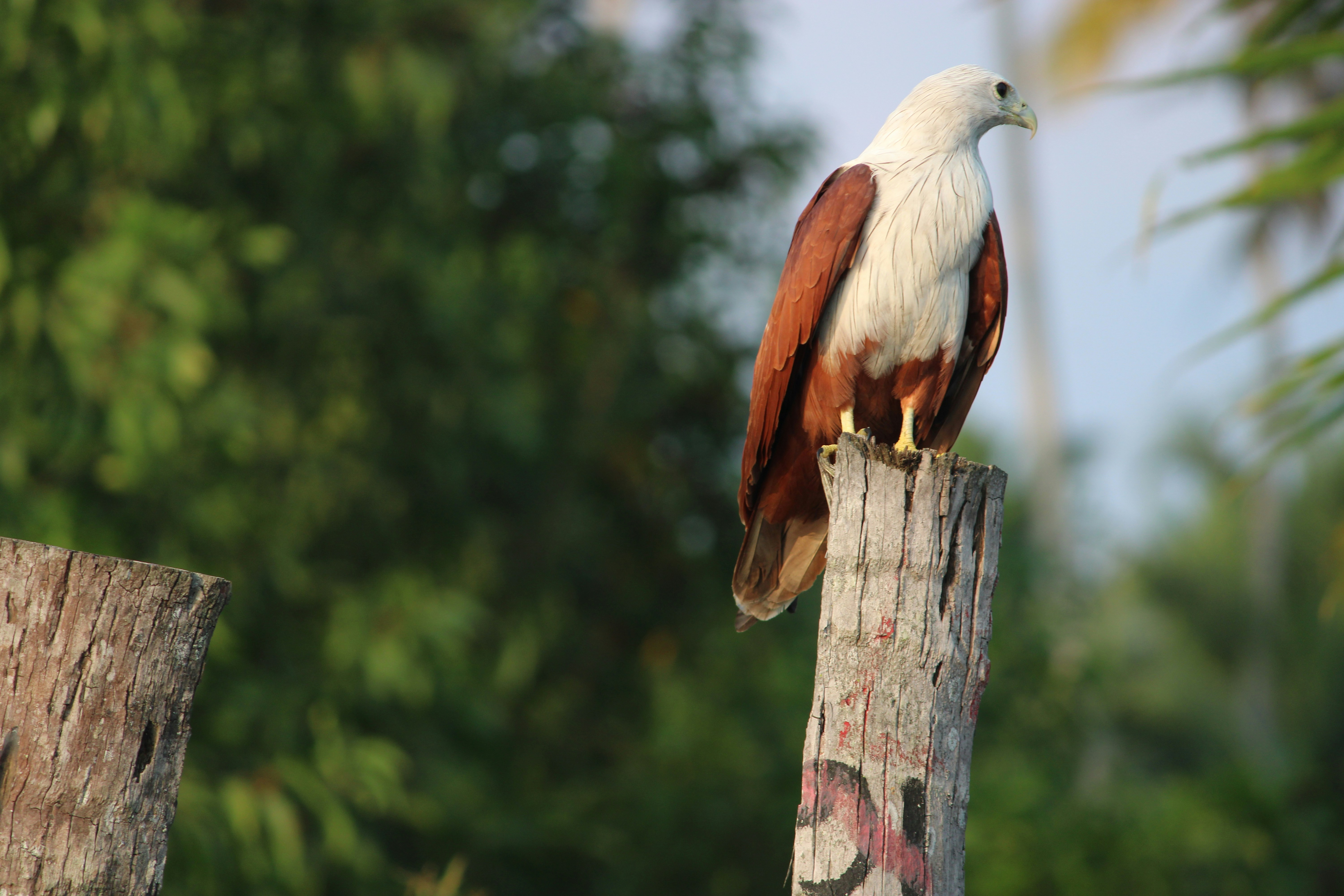 Photo by deep_erudite