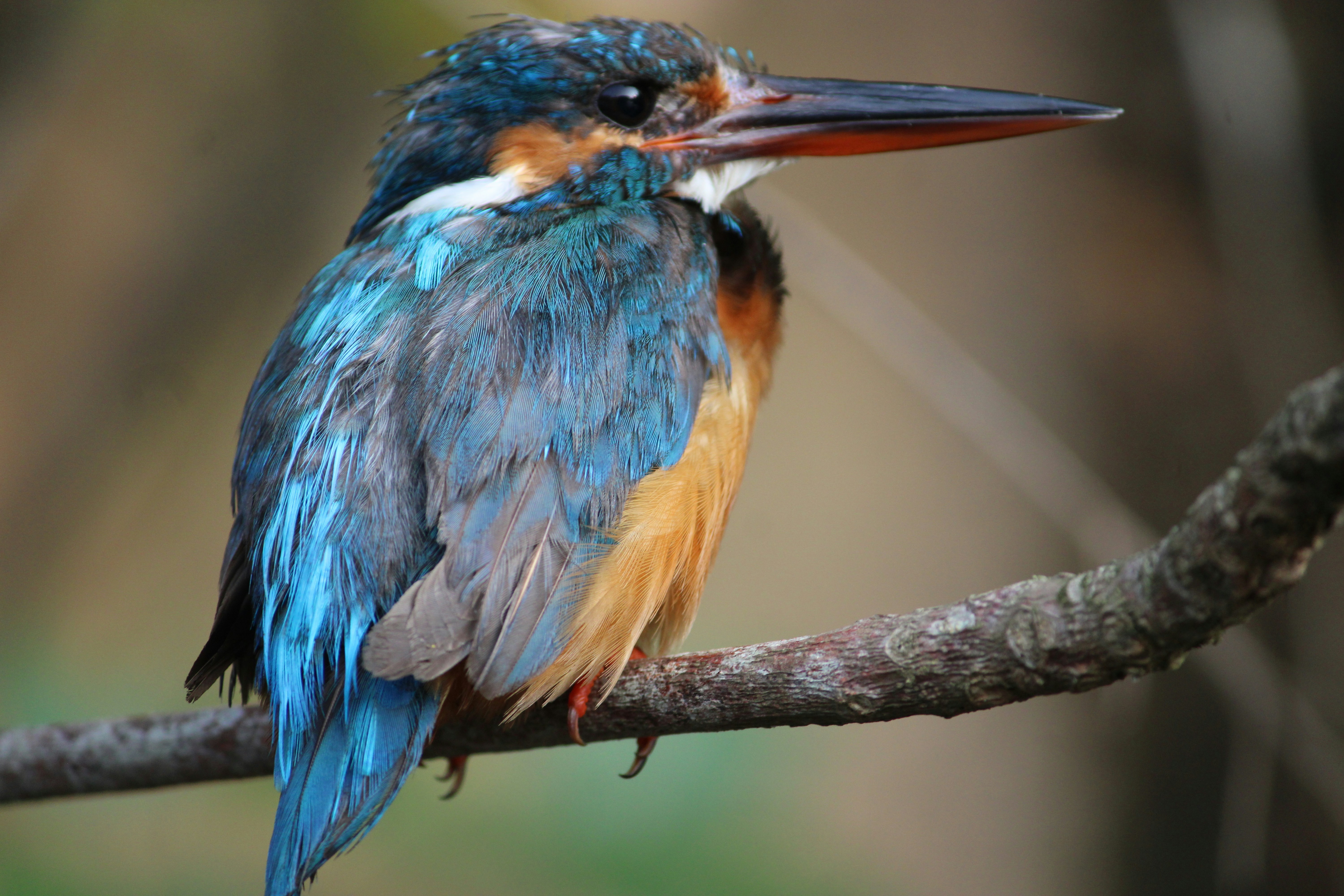 Photo by deep_erudite