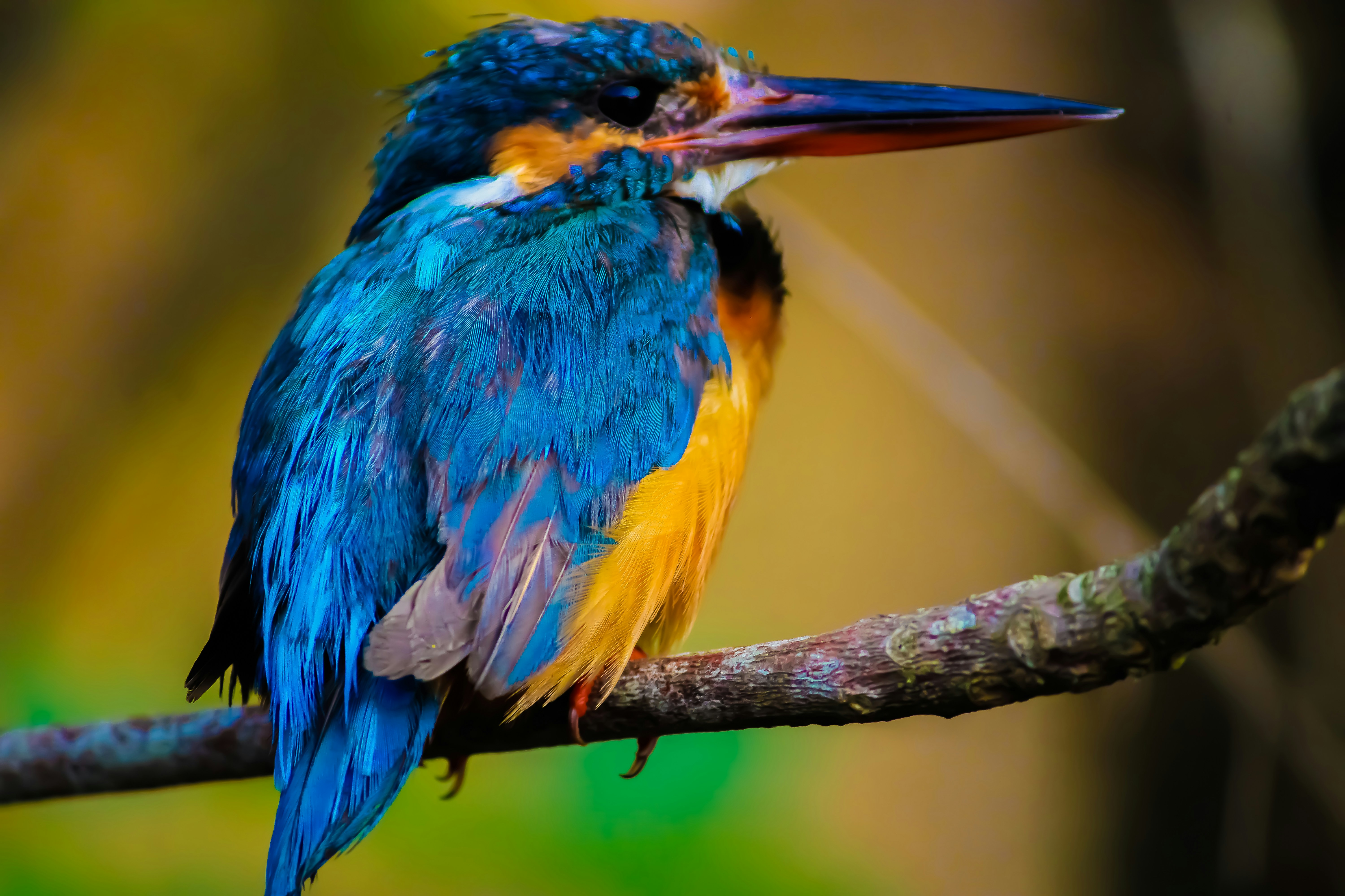 Photo by deep_erudite