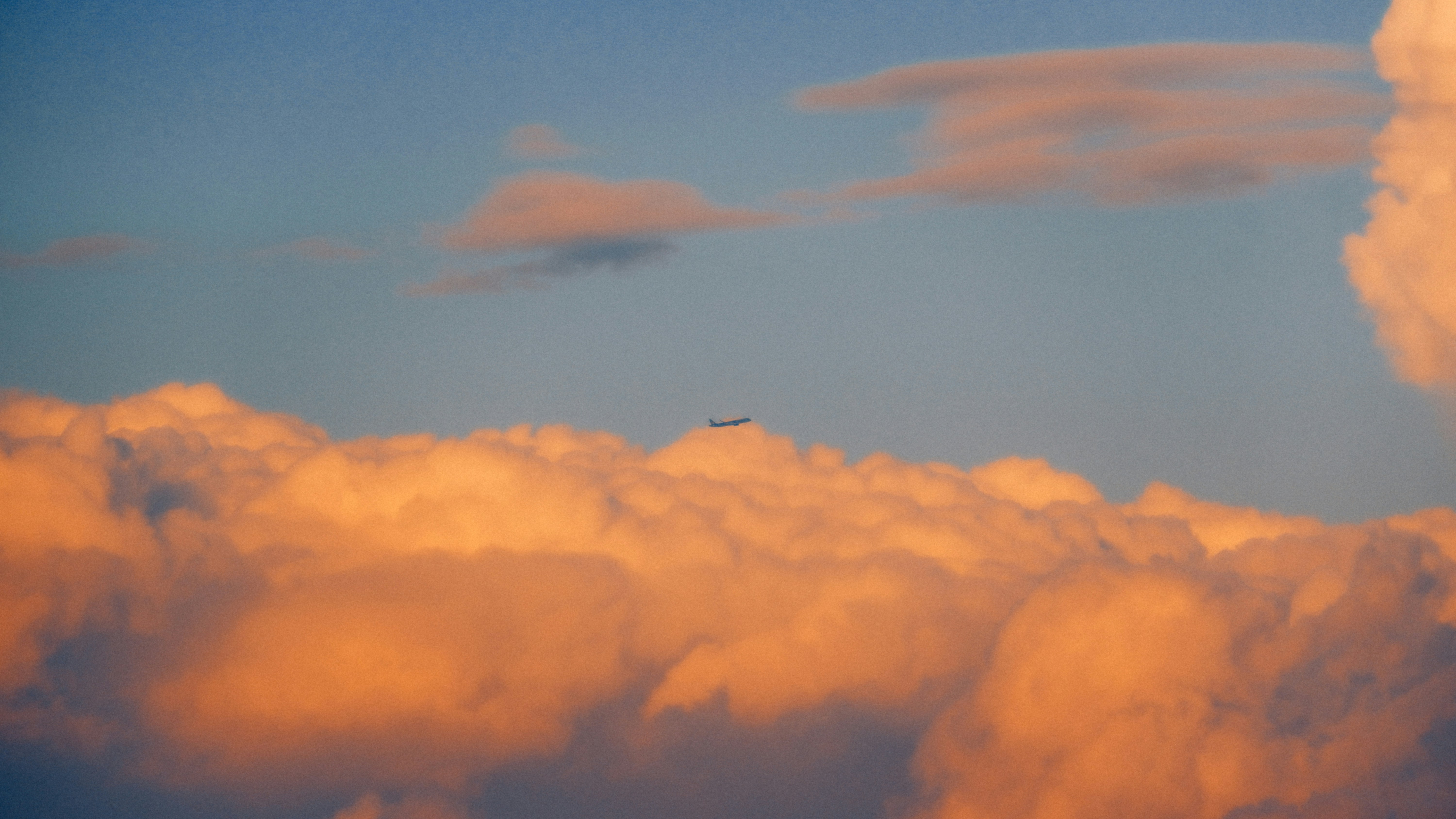 Photo by dying_apricity